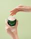 Відновлюючий крем з полінуклеотидами PDRN TERRAZEN PDRN Total Renew Cream 50ml 04086 фото 2